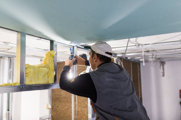 Best Geographic-Specific Insulation Services in Winsted, MN