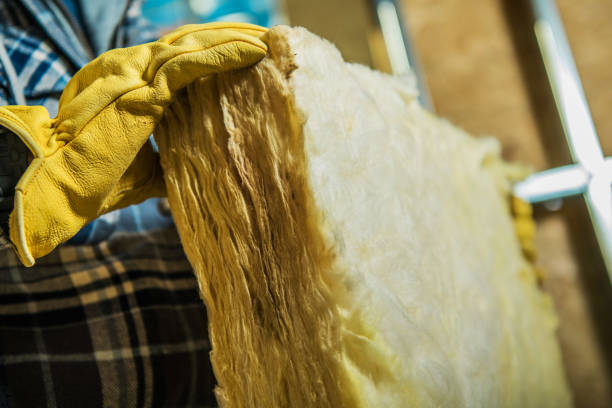 Best Insulation Maintenance and Repair in Winsted, MN
