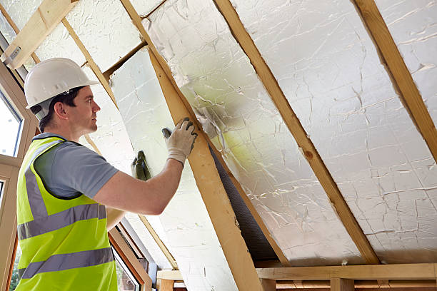 Best Cellulose Insulation in Winsted, MN