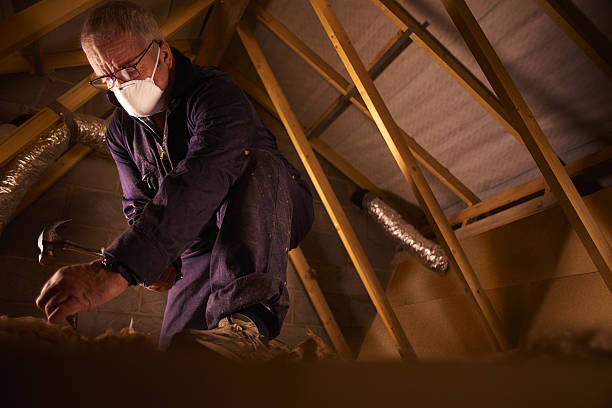 Best Eco-Friendly Insulation in Winsted, MN